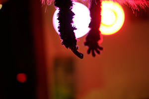 Tascam 4: Mothman detail