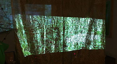 ASCII 7 banner image