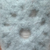 Cara Kuball