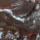 Chris Hammes image 5