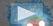 Mosquito video