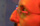 Jonathan Ozik offering spicy substances