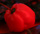 Spicy additives