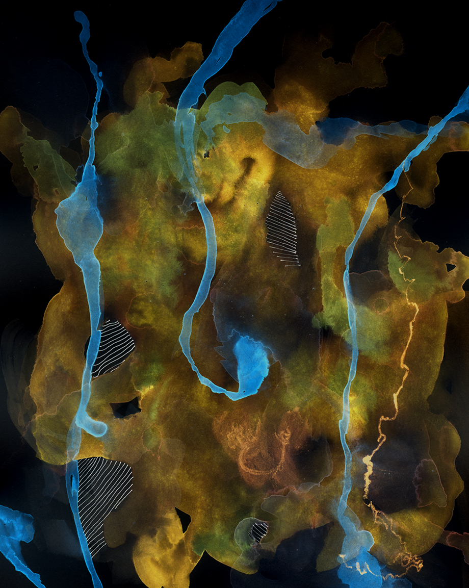 Drawing by Catie Olson